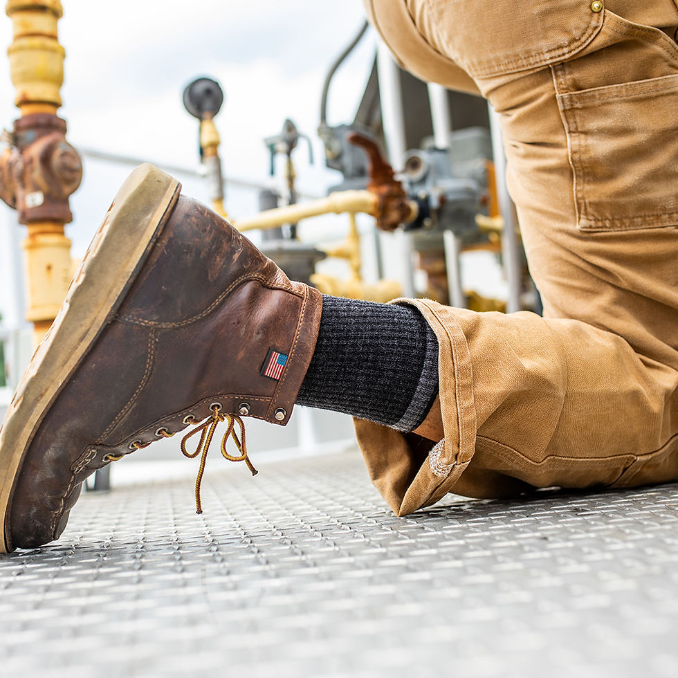 섬네일: 프레드 터틀 그라벨