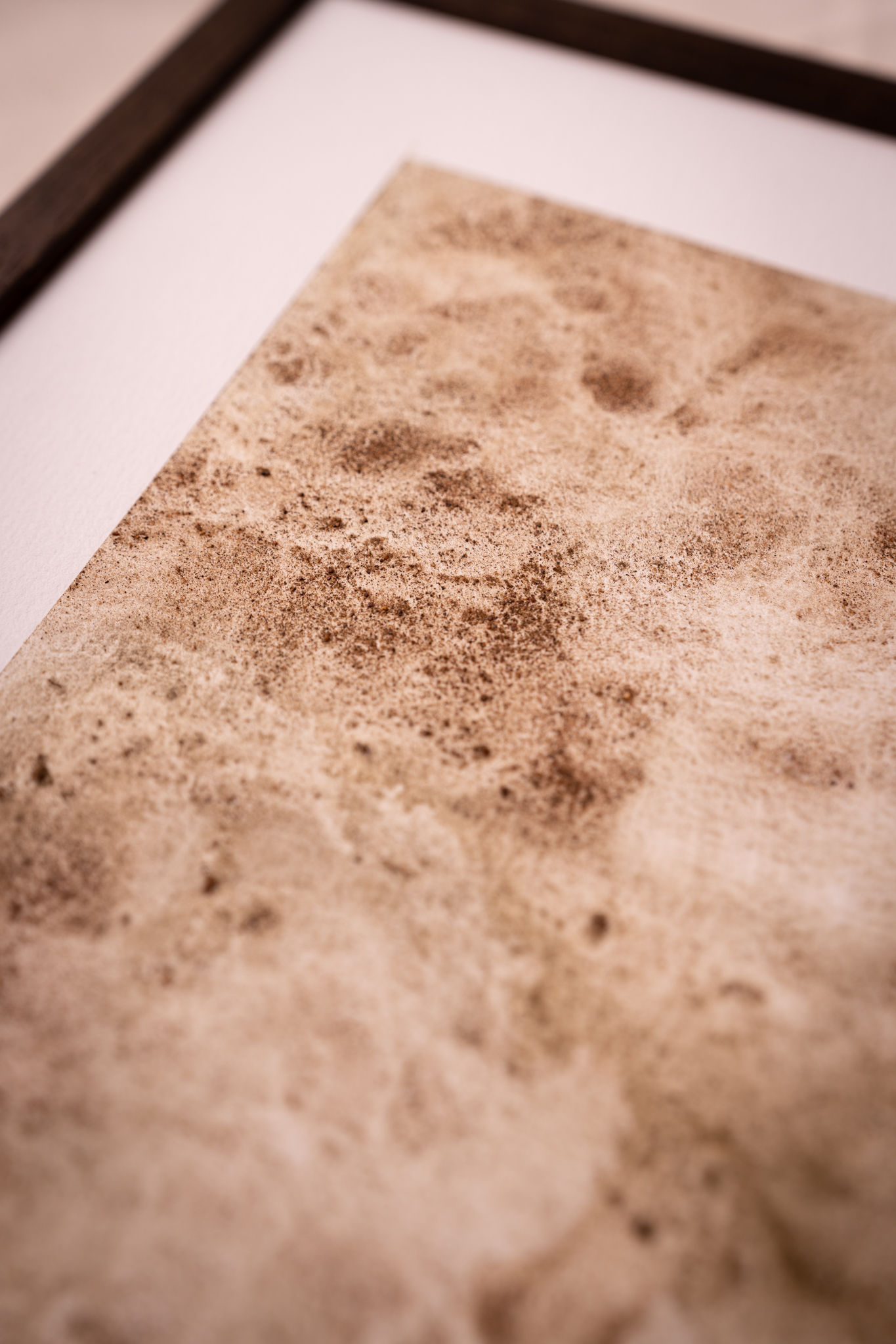 森の光 Forest Light