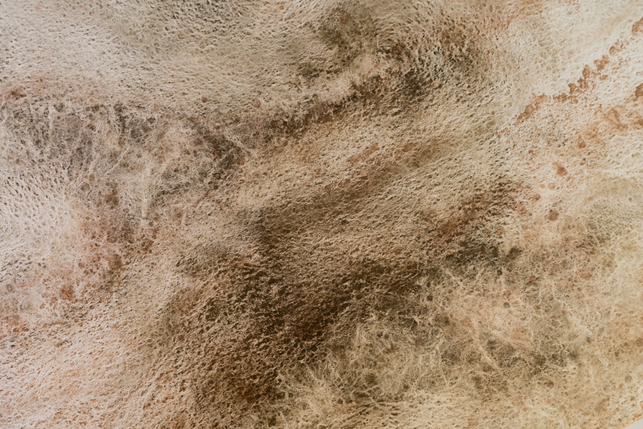 Mountain Rivers