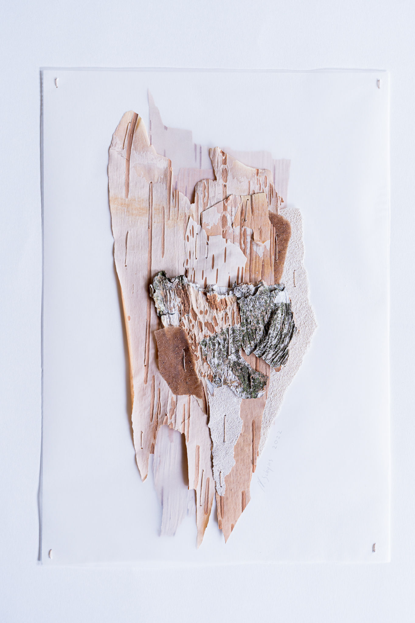 I broke down to grow higher