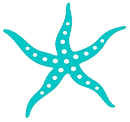 Asterias Starfish foundation