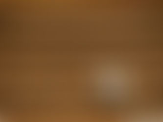 A man studying papers