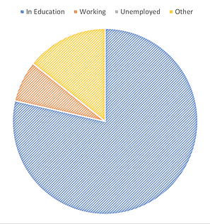 lifestyle pie chart.png