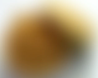 So Simple Slow Cooker Pulled Pork