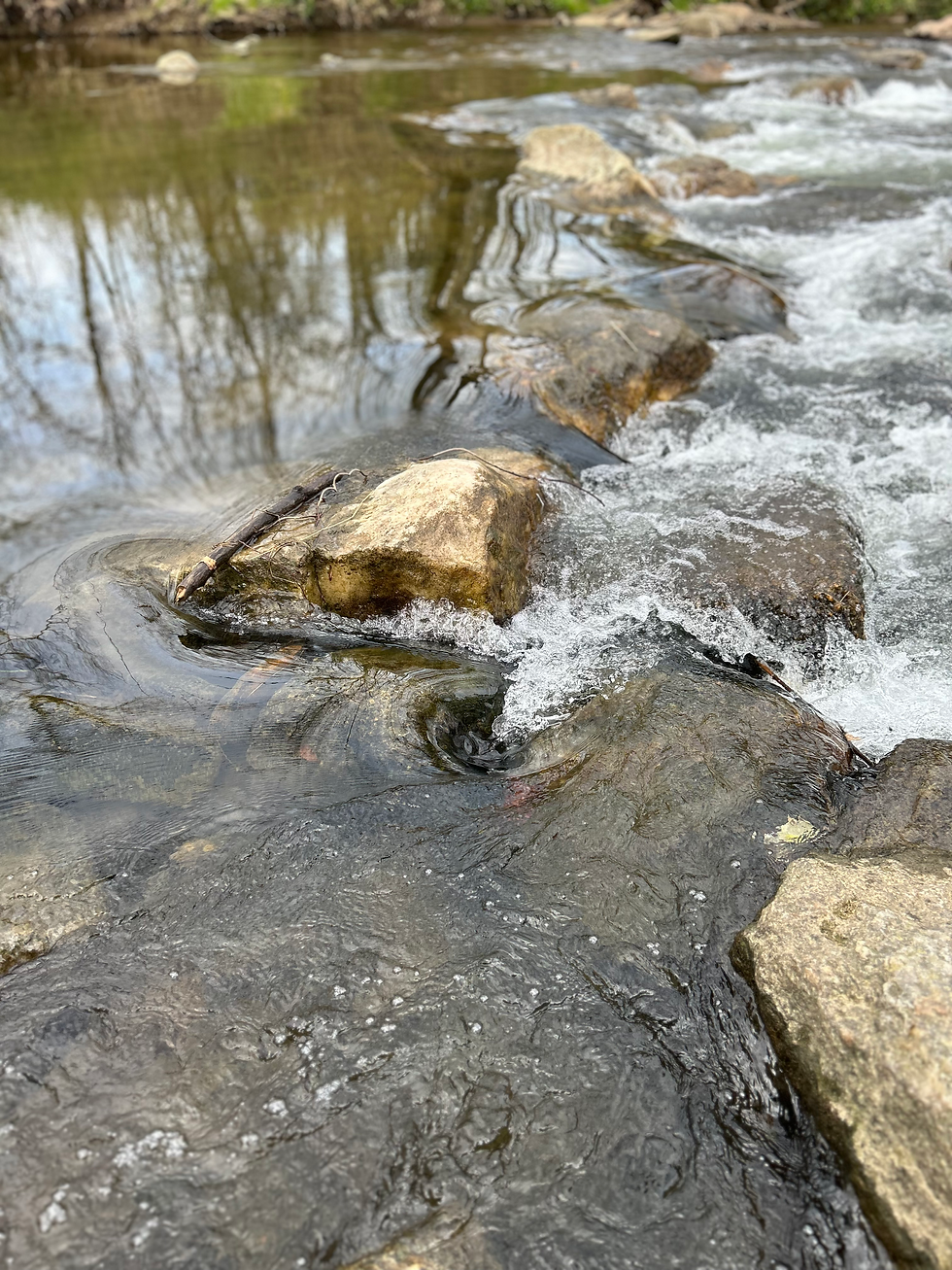 Emulating a Professional Photographer