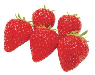 yotsu-boshi_s.webp