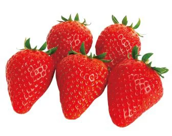 tochi-otome_s.webp