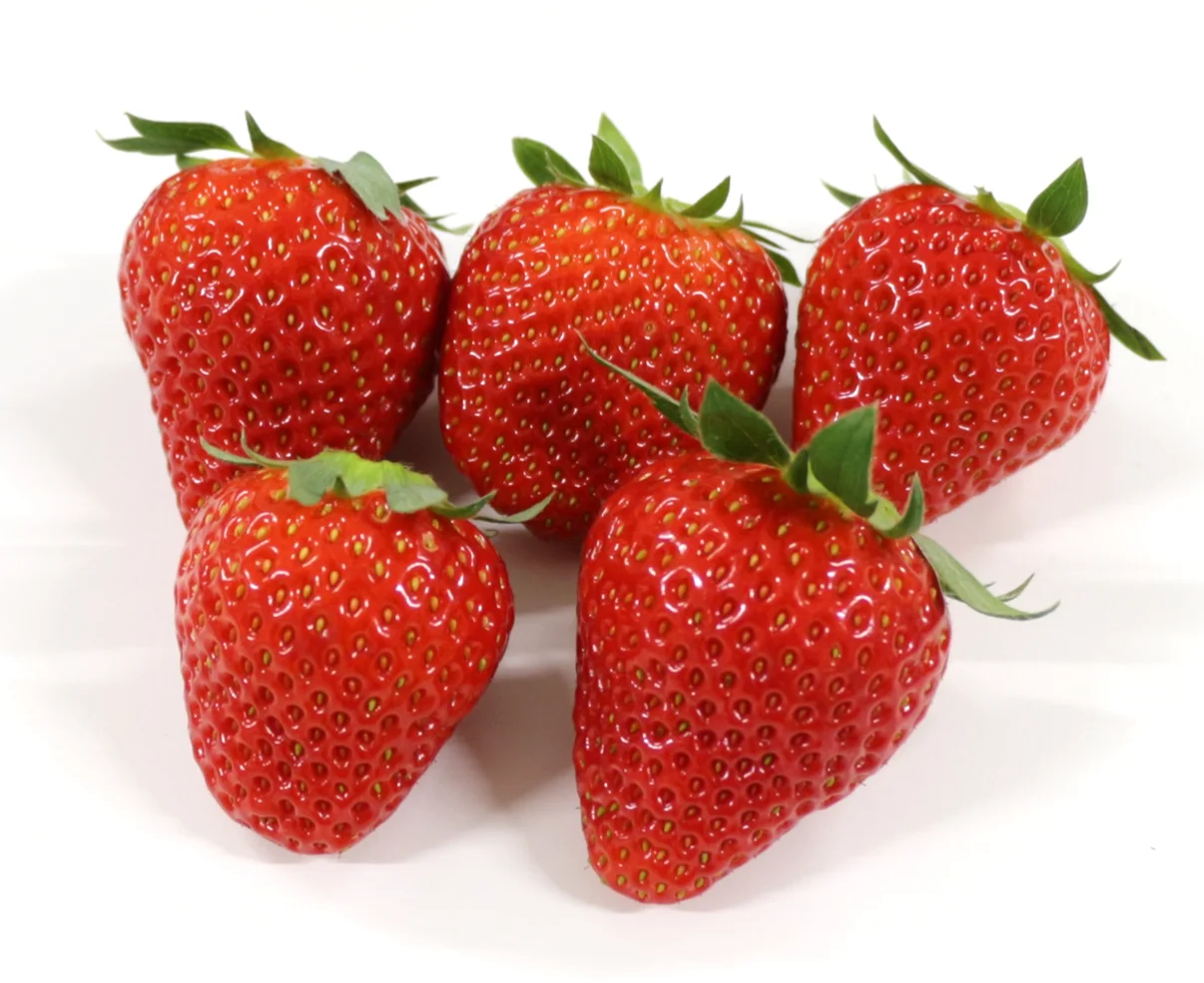 suzu.webp