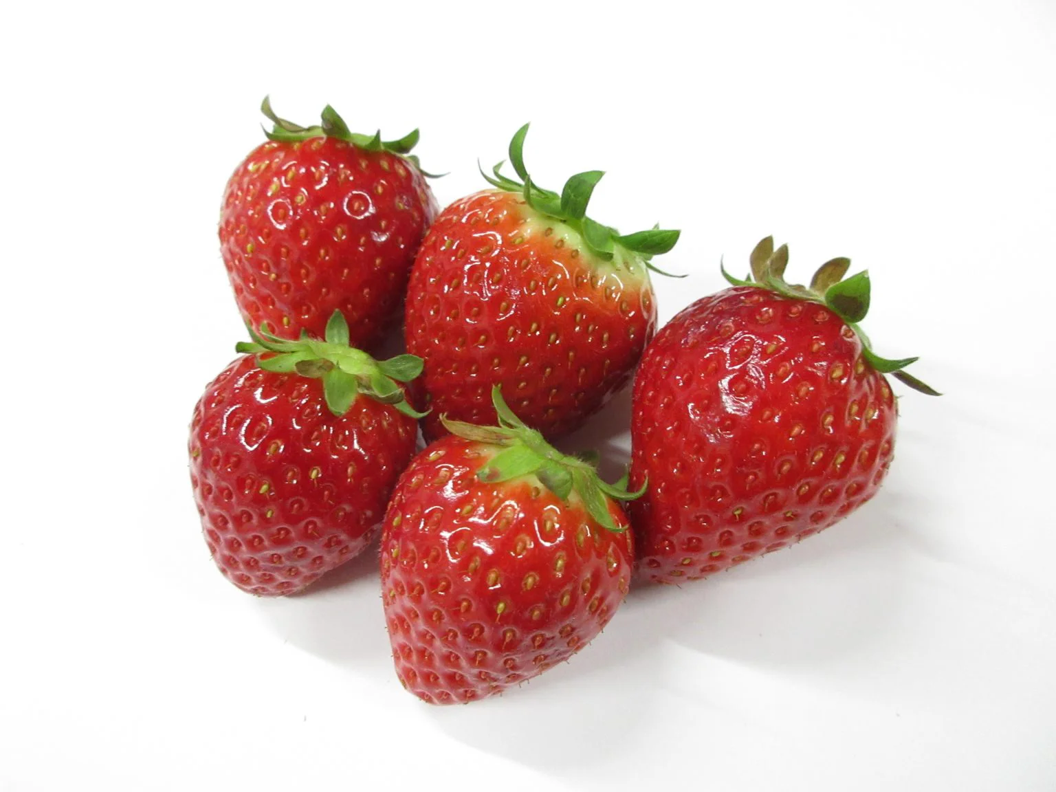 hosiurara.webp