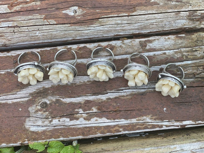 Thumbnail: Tooth Fairy ring