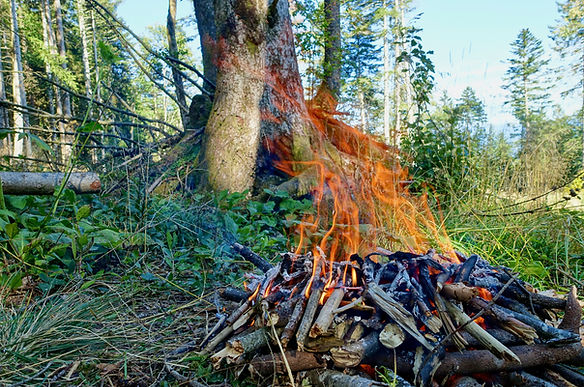 Ein gemütliches Feuer im Wald