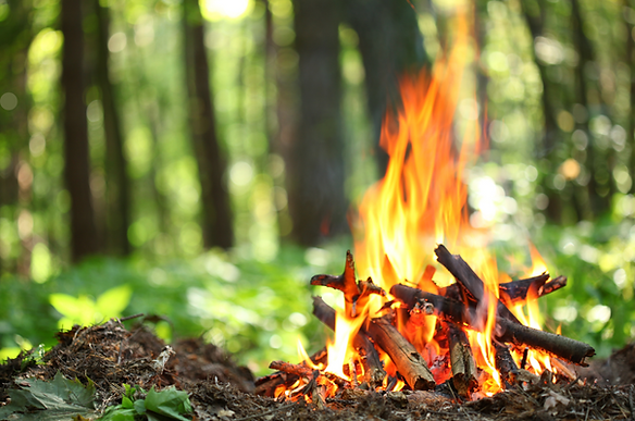 Ein Lagerfeuer im Wald