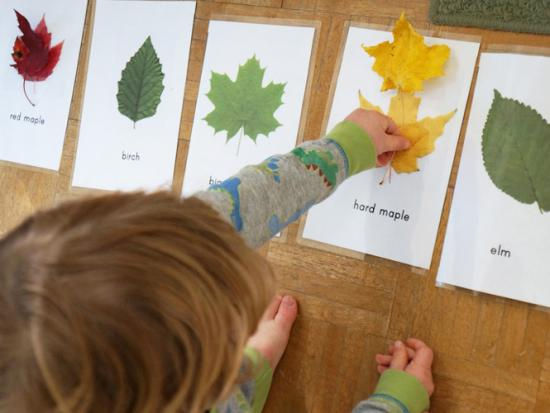 Le Petit Labo activité enfants Caen périscolaire art et science