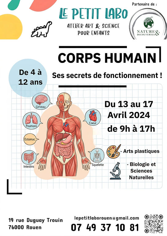 affiche anatomie (1).jpg