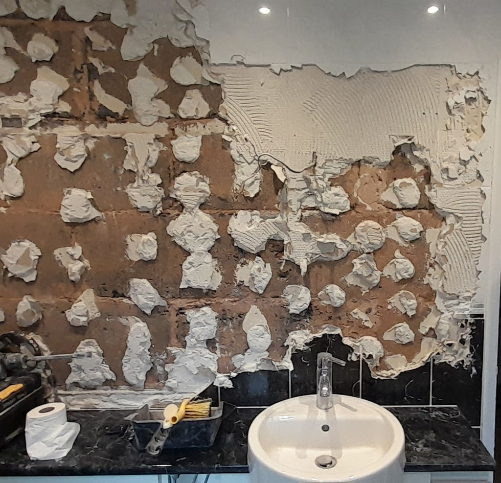 Bakersmith / S10 Renovations