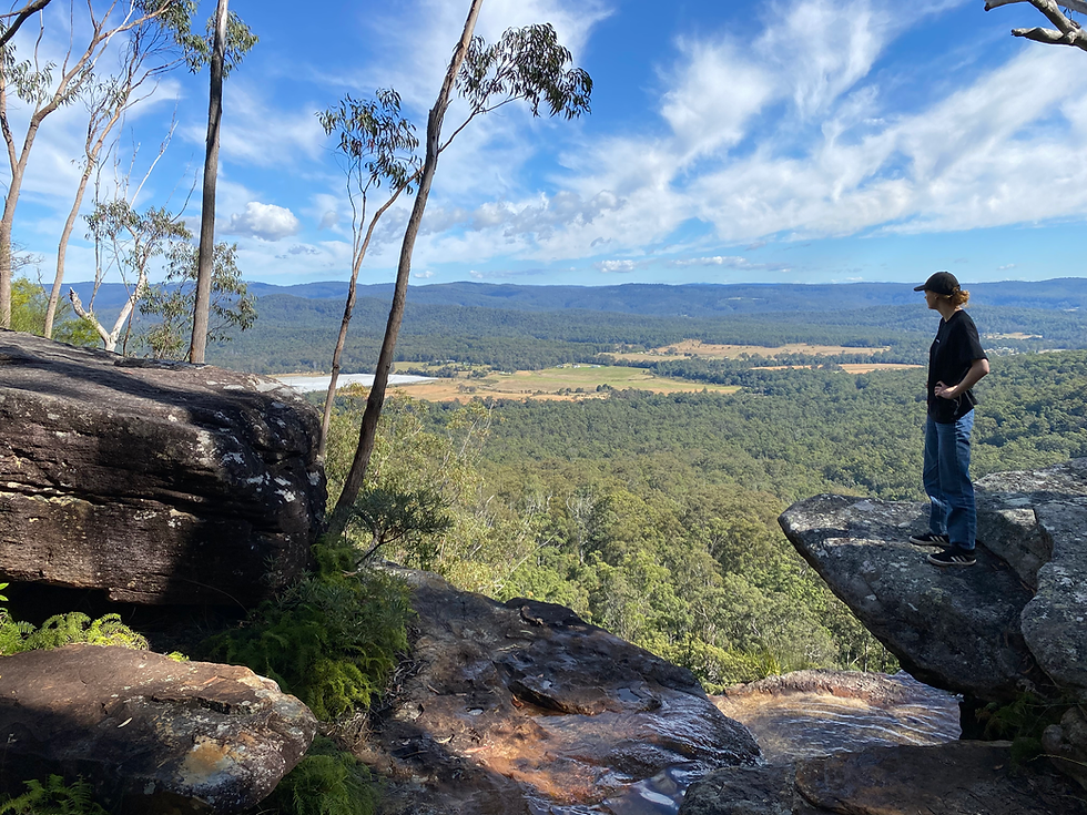 Lookout