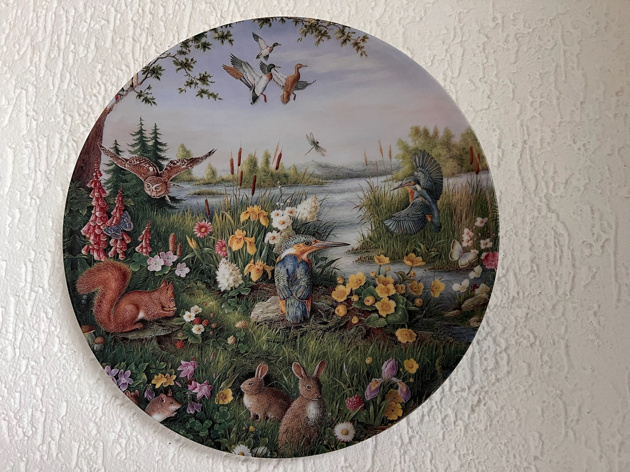 "Eisvogelpärchen am Seeufer"