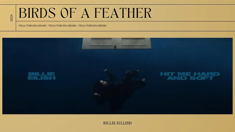 Villa Toscana banner by Billie Ellis Birds of a feather song for wedding