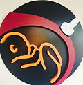 TPUS logo