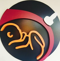 Logotipo de TPUS