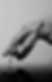 4031750272169_.pic.jpg