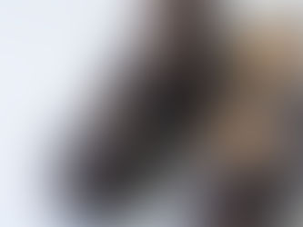 イノシシ年と年男