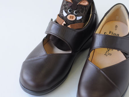 イノシシ年と年男