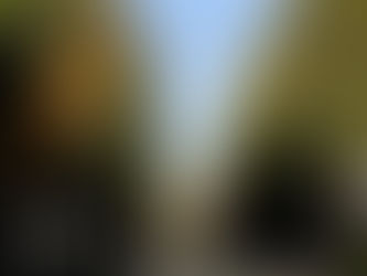 ゆっくり足跡残して