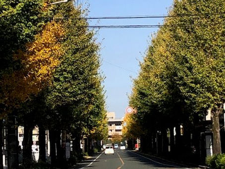 ゆっくり足跡残して