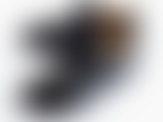 フィンコンフォート マニア