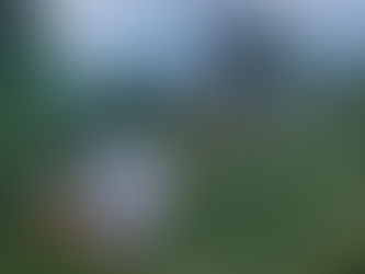 Imágenes Sensible Encuentran Cadáver con Heridas en Zona Boscosa de Malambo