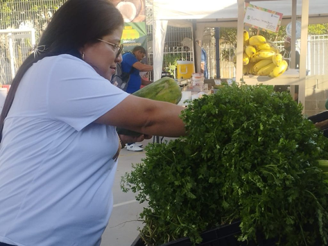 Gran Mercado Campesino en Soledad: una iniciativa positiva en medio de una realidad inquietante
