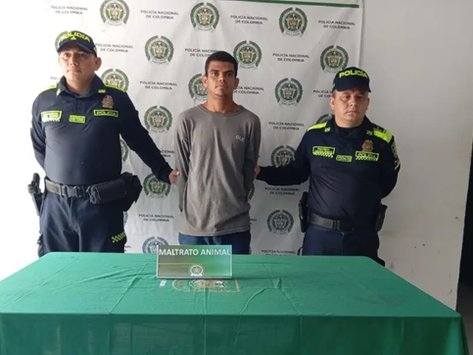 Indignación en Ponedera: Joven Capturado por Matar a Machetazos a un Perro