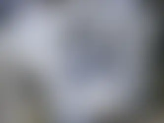 Hallazgo de cráneo en el centro de Barranquilla desata investigación de las autoridades