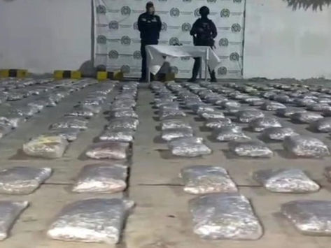 Incautan 730 kilos de marihuana en vivienda de Barranquilla: droga iba para Barranquilla y Soledad