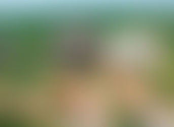 ¿Estrategia calculada? Rectoría del Atlántico aprovecharía vacaciones judiciales para acelerar contratos mientras avanza su caída