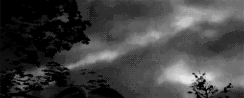 tumblr_mbiyjxm5Z31qdvwefo9_500.gif