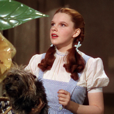 Dorothy's Lesson: The Value of the Journey