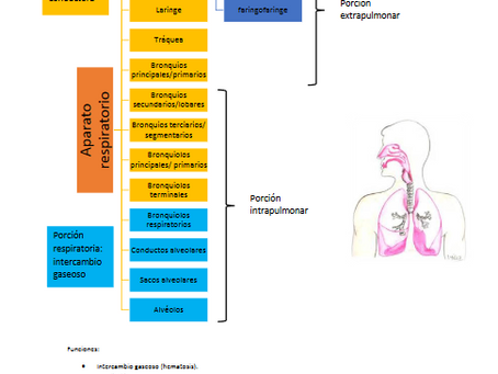 Apunte de HistologÃa