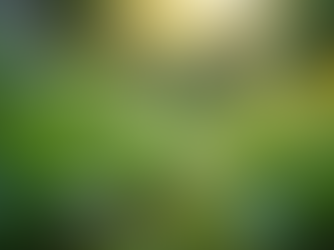 The Importance of Sustainable Living in Today's World