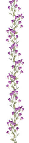 pngegg (2).png