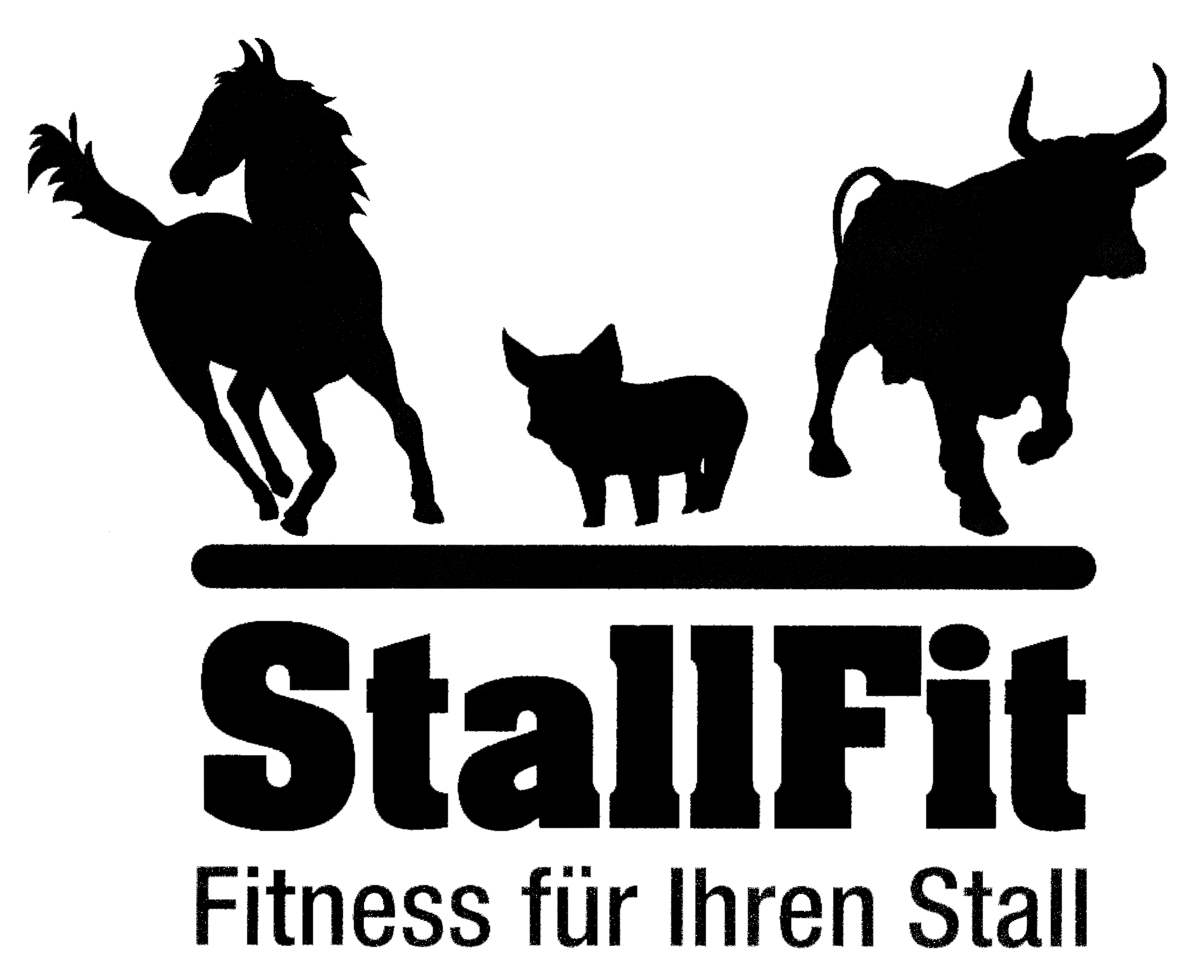 Stallfit - Fitness für den Stall