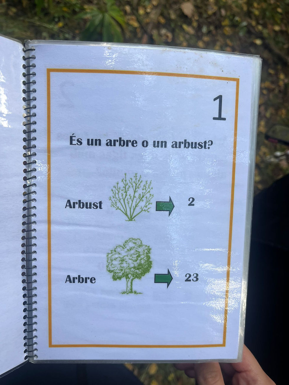 23