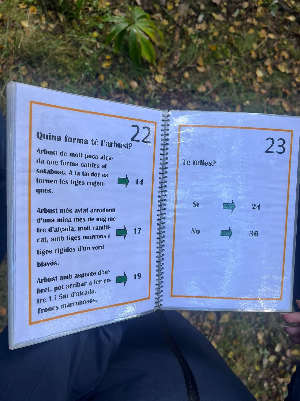 24