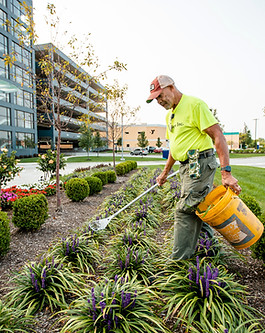 Grounds-maintenance