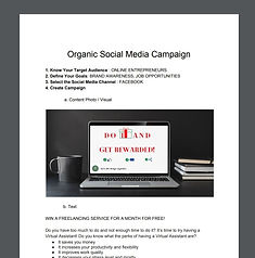 organic social media campaigne.jpg