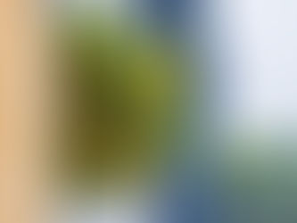 『生生流転〜西表島の自然と暮らし』展・渋谷ヒカリエは終了いたしました