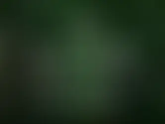 染織家 石垣昭子 × 映画監督 仲程長治『生生流転 〜西表島の自然と暮らし展』9月22-25日開催！