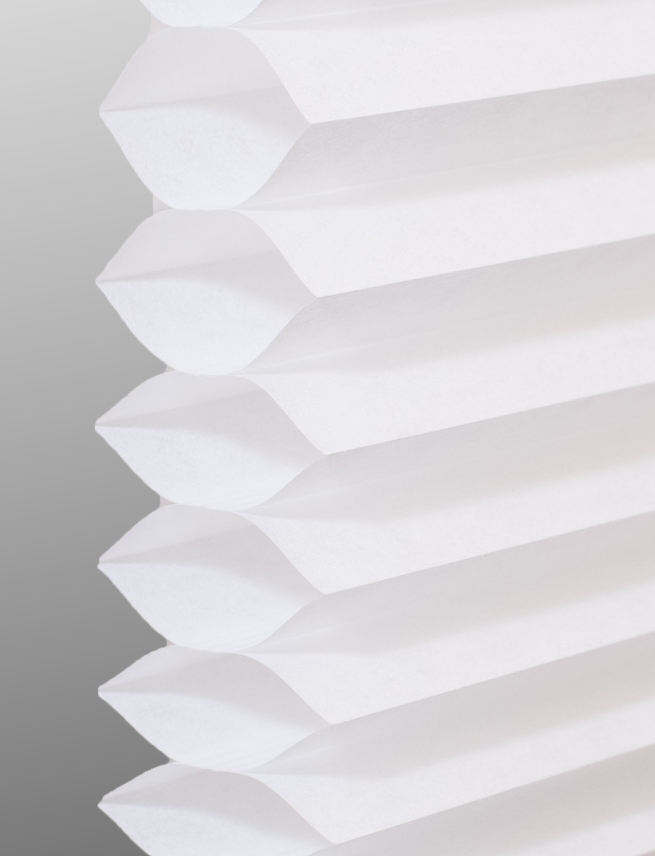 Cotton Smooth cellular shade fabric swatch