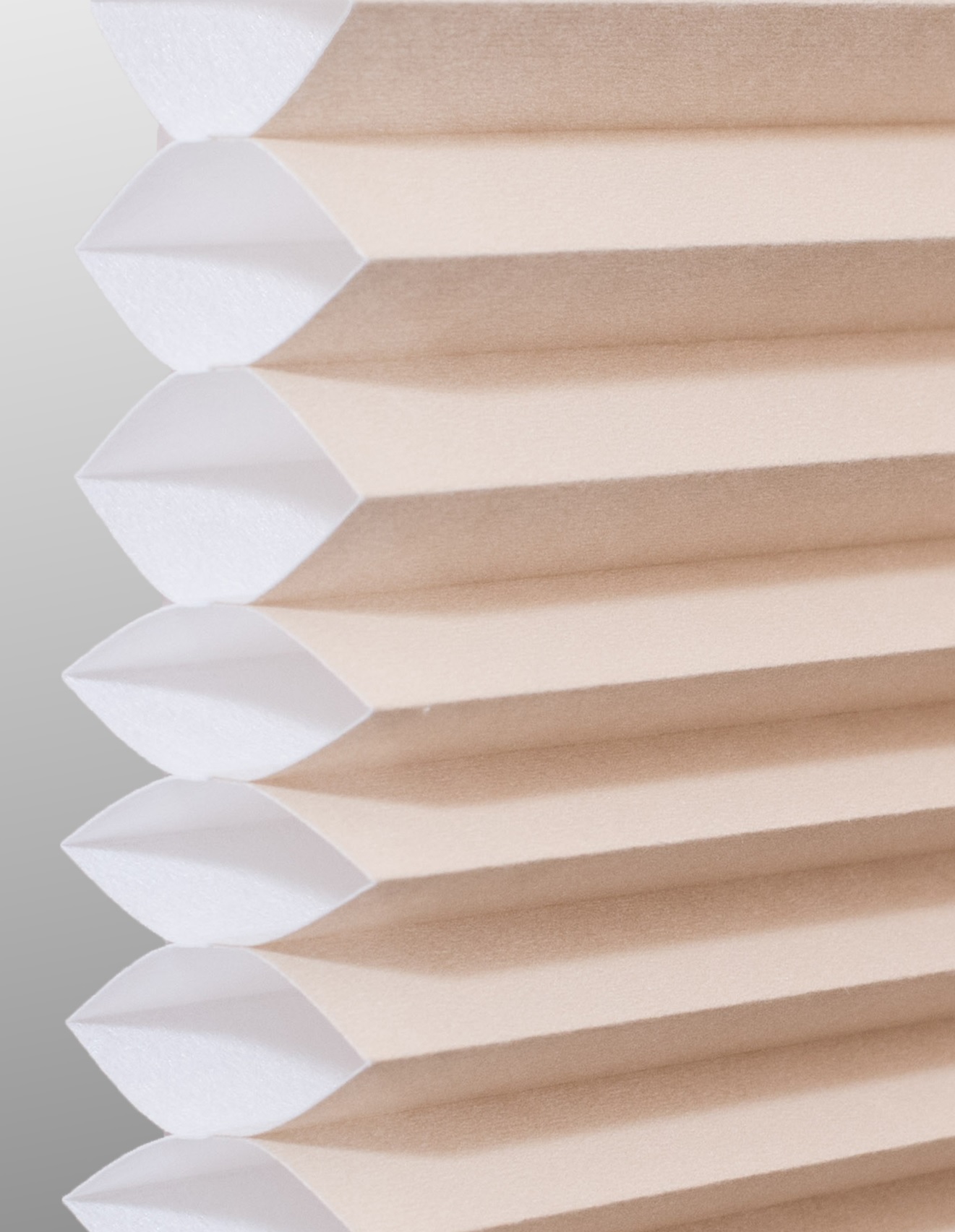 Fawn Single cell cellular shade fabric swatch